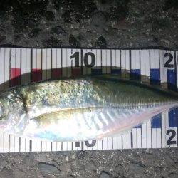 小さなあたりをしっかりと感じて